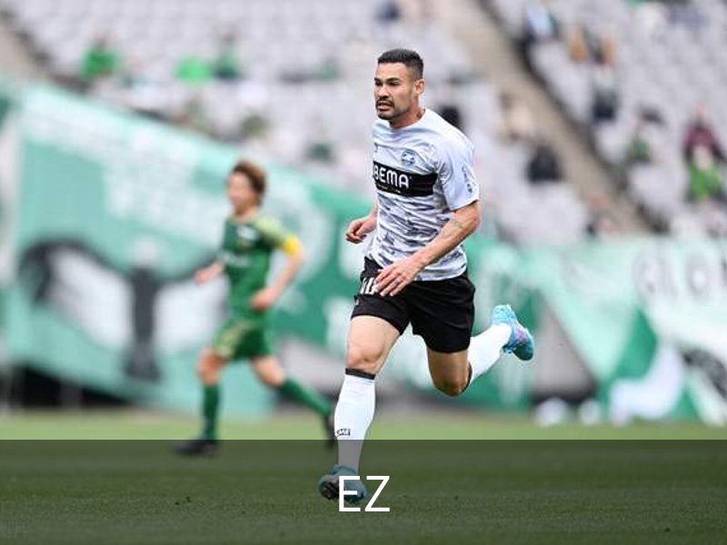 EZ WIN 安全登录入口 - 网页版安全入口
